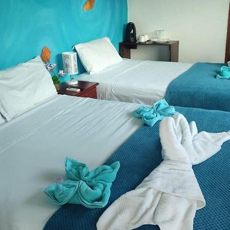 فندق Puerto Ayora Island بويرتو أيورا المظهر الخارجي الصورة
